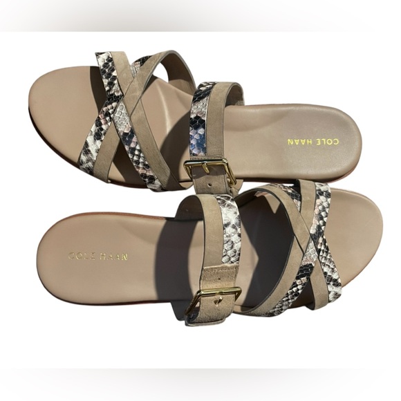 Cole Haan Python-Print Fairen Leather Strappy Buckle Slide Flat Sandals - Picture 1 of 4
